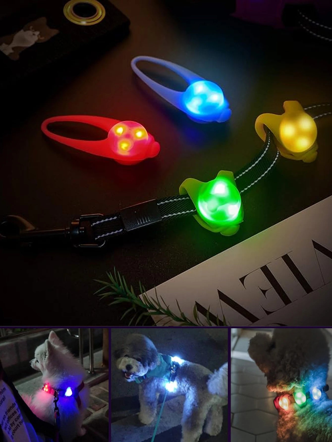 LightGuard – Dein Hund im Blick