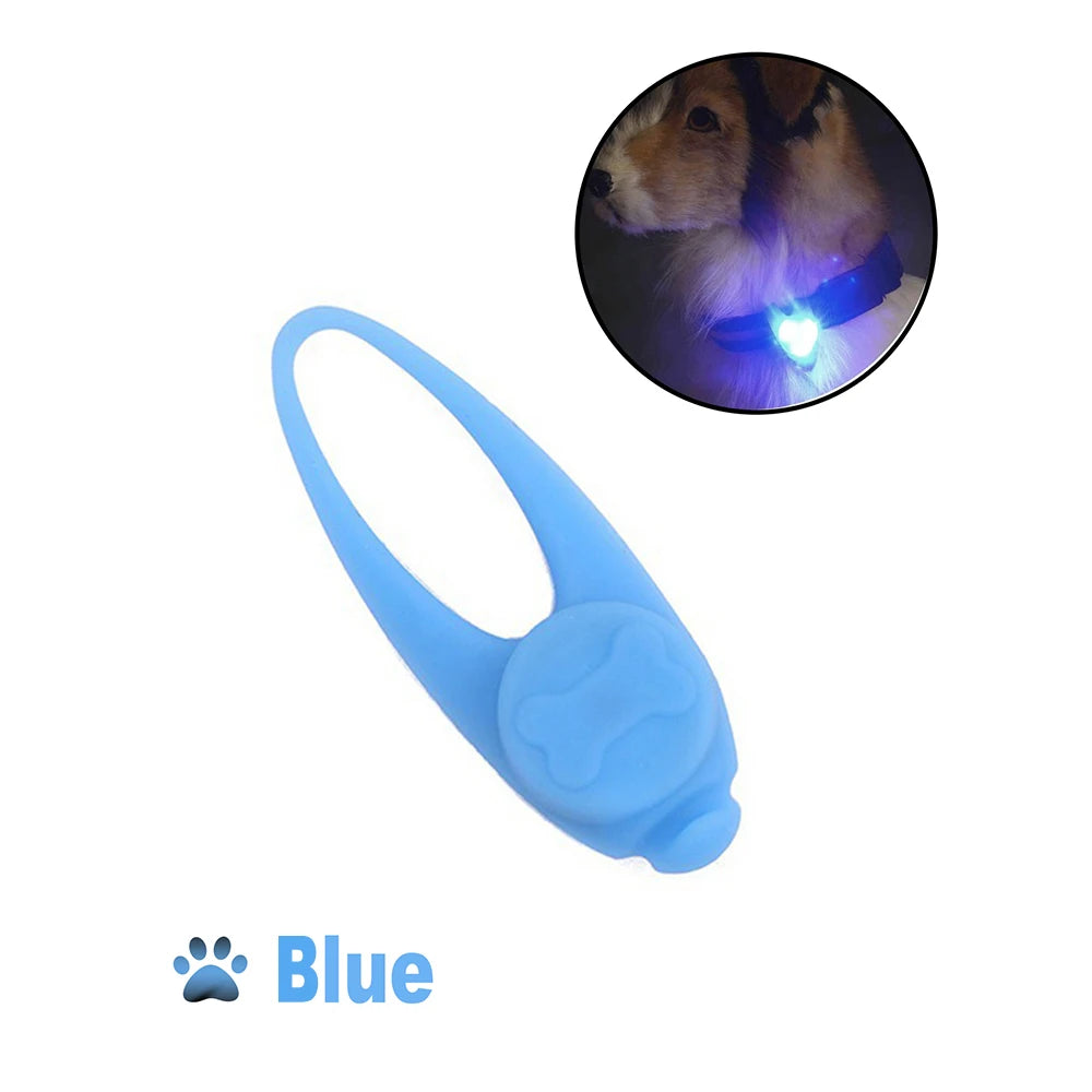 LightGuard – Dein Hund im Blick