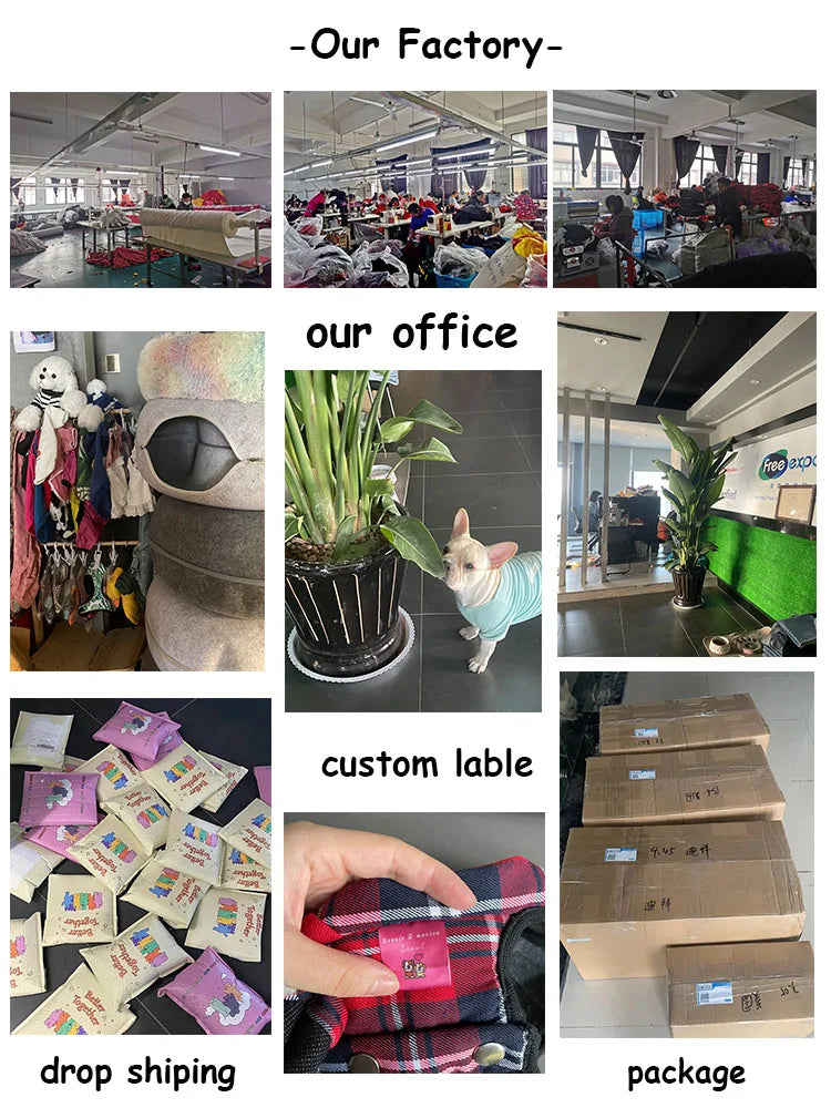 Wholesale Custom Plush Dog Toys Noise Working Puppy Chewing Bite Accessory Crinkle BB Squeaker Small Medium Dog Toy